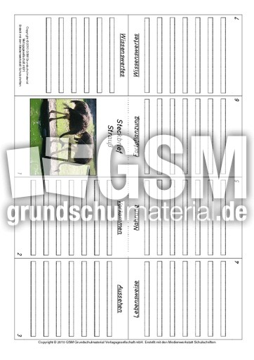 Faltbuch-Strauß.pdf